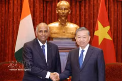 El secretario general del Partido Comunista de Vietnam y presidente del Estado, To Lam, recibe al presidente de la Asamblea Nacional de Costa de Marfil, Patrick Achi. (Fuente: VNA)