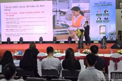 En el seminario titulado "El sector electrónico de Vietnam en la cadena de suministro verde: desde los criterios ESG y el embalaje sostenible hasta los requisitos del mercado global". (Fuente: nhandan.vn)