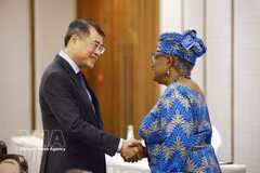 El primer ministro vietnamita, Le Minh Hung, se reúne con la directora general de la Organización Mundial del Comercio (OMC), Ngozi Okonjo-Iweala. (Fuente: VNA)