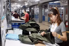 Fabricación de prendas de vestir en la compañía de confecciones TNG en la provincia de Thai Nguyen para exportación al mercado de la Unión Europea. (Fuente: VNA) 