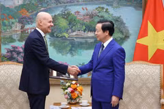 El viceprimer ministro Tran Hong Ha recibe al embajador neerlandés en Vietnam, Kees van Baar. (Fuente: VNA)