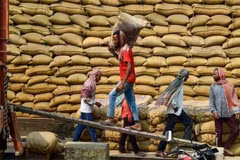 Trabajadores transportan arroz en un almacén en Jalandhar, India. (Fuente: ANI/VNA)