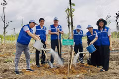 Delegados y residentes locales participaron en la plantación de árboles en el Parque Cultural Lang Le, comuna de Binh Loi. (Fuente: VNA)