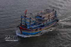 Embarcaciones entrando y saliendo del puerto fluvial de Doc (provincia de Ca Mau). (Foto: VNA)