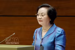 La viceprimera ministra vietnamita Pham Thi Thanh Tra en la conferencia. (Fuente: VNA)