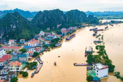 La zona de la aldea de Kenh Ga en la comuna de Gia Vien, provincia de Ninh Binh, está profundamente inundada. (Foto: VNA)