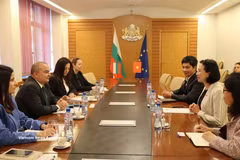 Panorama de la reunión. (Fuente: VNA)