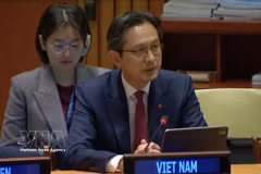 El embajador Do Hung Viet, jefe de la Misión Permanente de Vietnam ante las Naciones Unidas (ONU) en Nueva York. (Fuente: VNA)