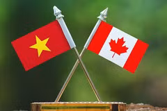 Vietnam y Canadá amplían cooperación en industrias avanzadas