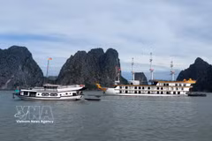 Mantienen cerrada temporalmente playa de Soi Sim en Bahía de Ha Long. (Fuente: VNA)