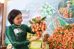 La comuna de Phuc Hoa (provincia de Bac Ninh) busca divulgar y presentar productos agrícolas locales. (Foto: VNA)