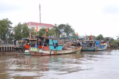 Los barcos fondean en el estuario de Ganh Hao (comuna de Ganh Hao, provincia de Ca Mau). (Foto: VNA)
