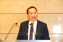 El embajador de Vietnam en Italia y concurrente en Chipre, Duong Hai Hung. (Fuente: VNA)