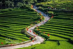 El sitio de ecoturismo comunitario de Pu Luong. (Foto: VNA)