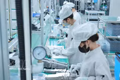 Actividades de producción en Bumjim Electronics Vina Co., Ltd. (empresa de capital 100 % surcoreano) en la provincia de Quang Ninh. (Fuente: VNA)