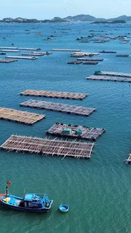 La acuicultura marina, nuevo motor de la economía marítima