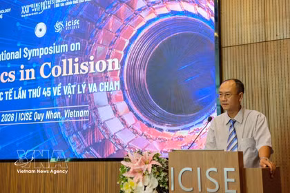 El subdirector del Departamento de Ciencia y Tecnología de Gia Lai, Phan Ho Giang, pronuncia un discurso (Foto: VNA)