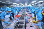Procesamiento de productos acuáticos para la exportación (Fuente: VNA)