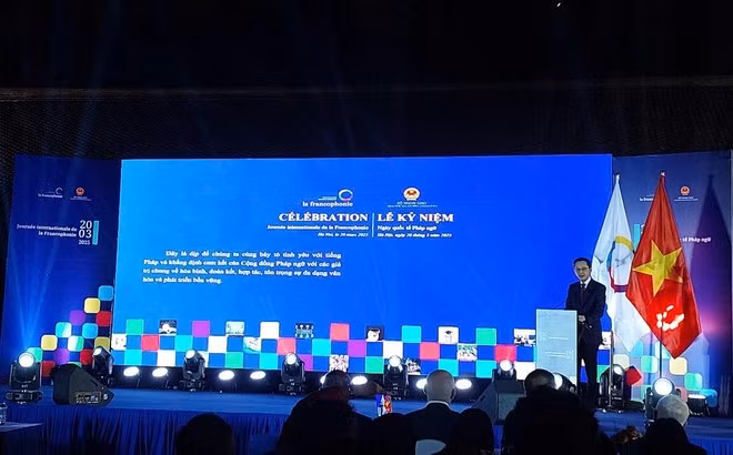 El vicecanciller vietnamita Do Hung Viet interviene en la cita (Foto: VNA)
