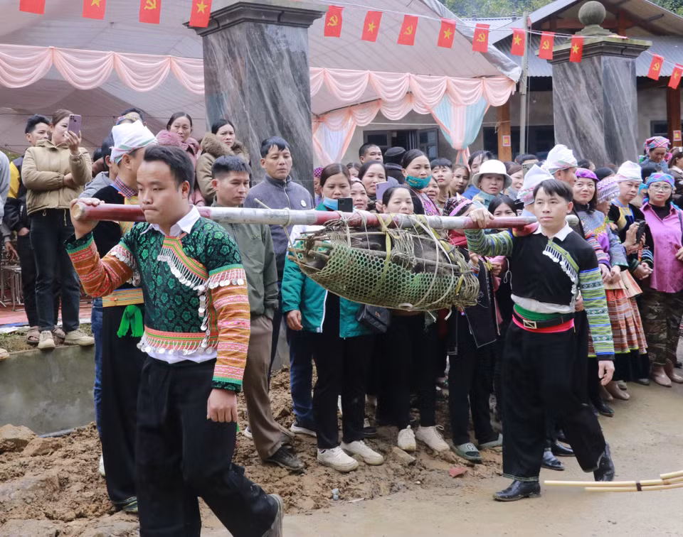 La procesión ritual de un cerdo salvaje al bosque sagrado. (Foto: VNA)