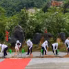 La empresa DACE, en coordinación con el Comité Popular de la comuna de Dong Khe, celebra la ceremonia de inauguración de la construcción de la planta de procesamiento, conservación y exportación de especias orgánicas DACE Cao Bang. (Foto: VNA) 
