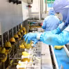 Línea automatizada de pelado de mangos en la fábrica ANTESCO, en la comuna de Chau Phu, provincia de An Giang. (Foto: VNA)