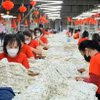 En una empresa de confección textil (Foto ilustrativa: VNA)