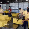 Planta procesadora de caucho de la empresa Caucho Vietnam-Laos en el distrito de Bachiang, provincia de Champasak, Laos. (Foto: VNA)