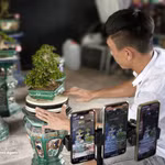 Impulsan transformación digital al servicio del desarrollo económico en localidades vietnamitas