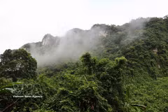 En el Parque Nacional Phong Nha-Ke Bang. (Fuente: VNA)