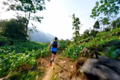 Foto ilustrativa. (Fuente: vietnamtrailseries.com)