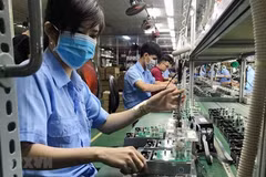 Foto ilustrativa. (Fuente: VietnamPlus)
