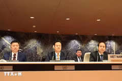 Delegación de Vietnam en el evento. (Fuente: VNA)