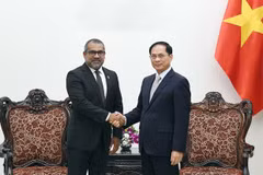 El viceprimer ministro vietnamita Bui Thanh Son y el ministro de Asuntos Exteriores de Maldivas, Abdulla Khaleel. (Fuente: Cancillería)