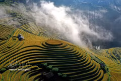 Arrozales en terrazas en la provincia de Lao Cai. (Fuente: VNA)