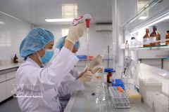 Los investigadores del Instituto de Vacunas y Productos Médicos Biológicos del Ministerio de Salud (con sede en la provincia de Khanh Hoa) investigan y prueban vacunas.