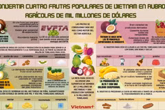 Convertir cuatro frutas populares de Vietnam en rubros agrícolas de mil millones de dólares 