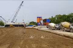 En la provincia de Dong Thap. (Fuente: VNA)