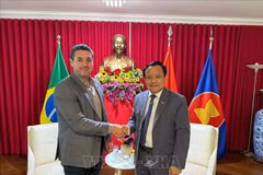 El embajador vietnamita en Brasil, Bui Van Nghi, recibe a Maurício Buffon, presidente de la Asociación Brasileña de Productores de Soja. (Fuente: VNA)