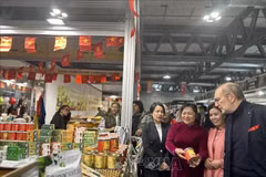 Visitantes al pabellón nacional de Vietnam. (Fuente: VNA)