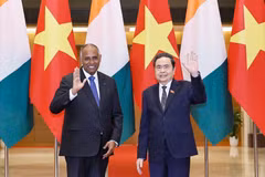El presidente de la Asamblea Nacional de Vietnam, Tran Thanh Man, sy su homólogo de Costa de Marfil, Patrick Achi. (Fuente: VNA)