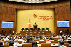 Asamblea Nacional de Vietnam aprueba ley revisada para modernizar la educación jurídica (Fuente: VNA)