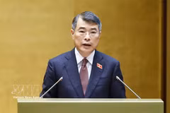 El primer ministro de Vietnam, Le Minh Hung, interviene en el evento. (Fuente: VNA)