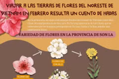 Viajar a las tierras de flores del noreste de Vietnam en febrero resulta un cuento de hadas 
