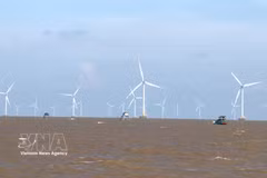 El sistema de turbinas eólicas marinas de la empresa eólica Tien Giang. (Fuente: VNA)