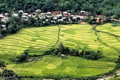En la Reserva Natural de Pu Luong. (Fuente: vietnam.vnanet.vn)