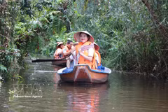 Los turistas disfrutan de la experiencia de navegar en canoa para explorar la Reserva Ecológica Dong Thap Muoi en la comuna de Tan Phuoc 2, provincia de Dong Thap. (Fuente: VNA)