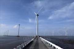 La planta de energía eólica en la provincia de Bac Lieu. (Fuente: VNA)