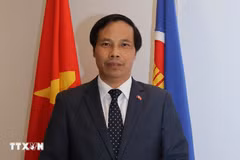El embajador vietnamita en Qatar, Nguyen Huy Hiep. (Fuente: VNA)
