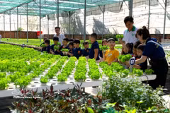 Visita a un modelo de cultivo de hortalizas de alta tecnología en la Cooperativa Agrícola Tuan Ngoc, en Ciudad Ho Chi Minh. (Fuente: VNA)